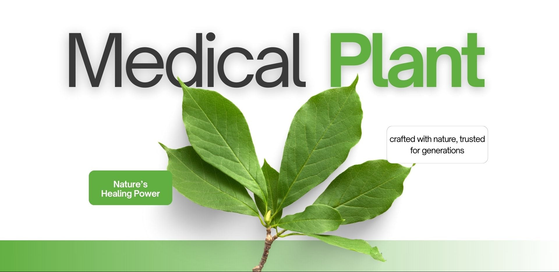 slider image 1621243260e1af0c20-0